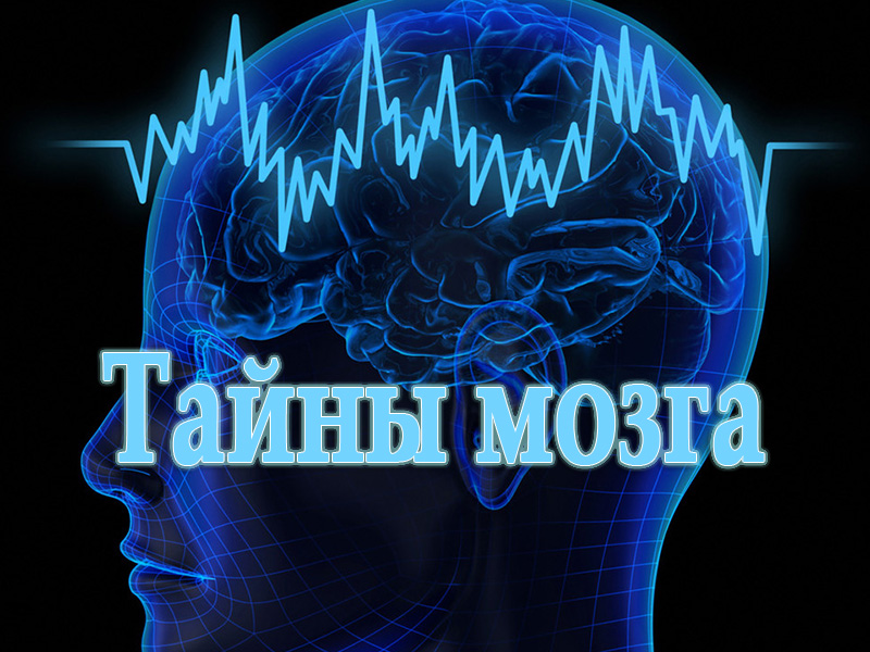 Интеллект генетика. Тайны мозга. Тайна человеческого мозга. Мозг статьи. Мозг тайны сознания.
